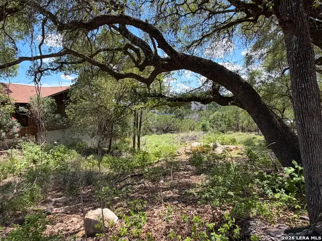 273 Scenic Dr., Canyon Lake, TX 78133 - #2