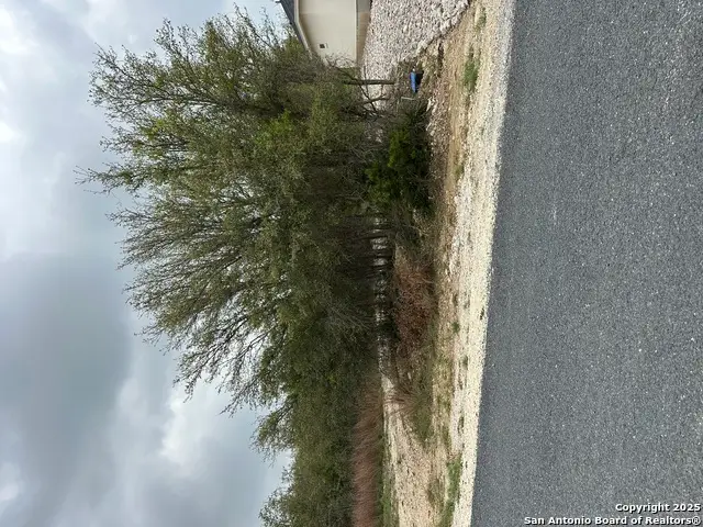 226 Roy Nichols, Blanco, TX 78606 - #2