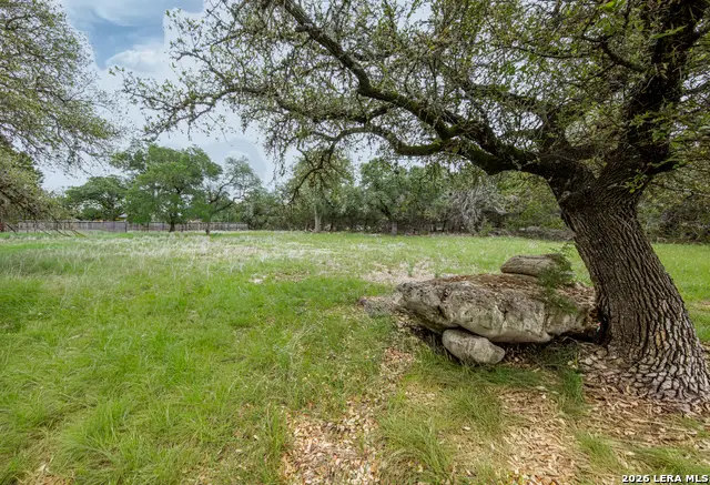 5742 Spring Branch Rd, Spring Branch, TX 78070 - #1