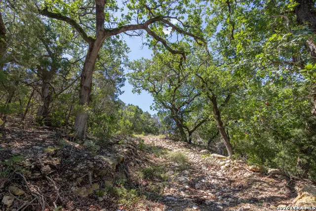 625 County Road 2763, Mico, TX 78056 - #1