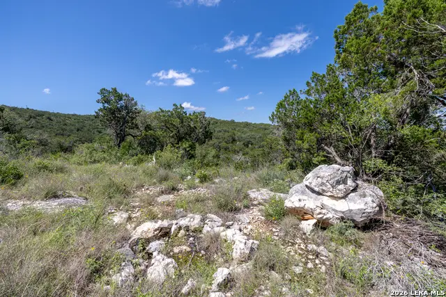 625 County Road 2763, Mico, TX 78056 - #2