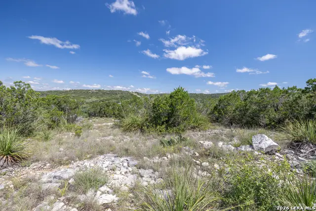 625 County Road 2763, Mico, TX 78056 - #3