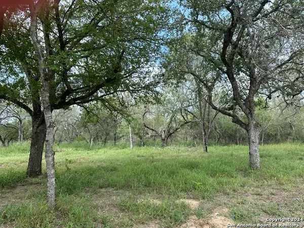 20588 S State Highway 16, Von Ormy, TX 78073
