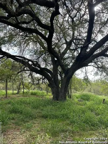 20588 S State Highway 16, Von Ormy, TX 78073 - #2