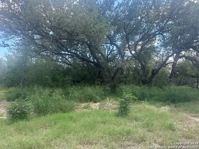 20588 S State Highway 16, Von Ormy, TX 78073 - #3