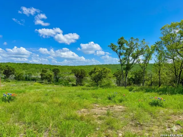 416 Hilltop Rdg, New Braunfels, TX 78132 - #3
