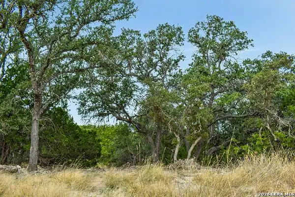 08 W Bison Way, Harper, TX 78631