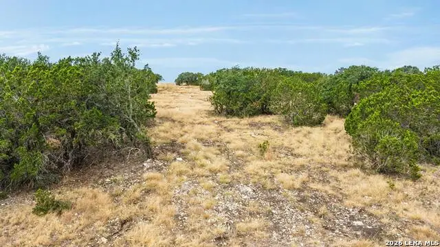 08 W Bison Way, Harper, TX 78631 - #2