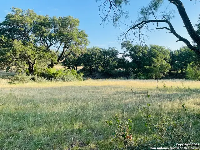 1542 Elm Springs Trl, Menard, TX 76859 - #1