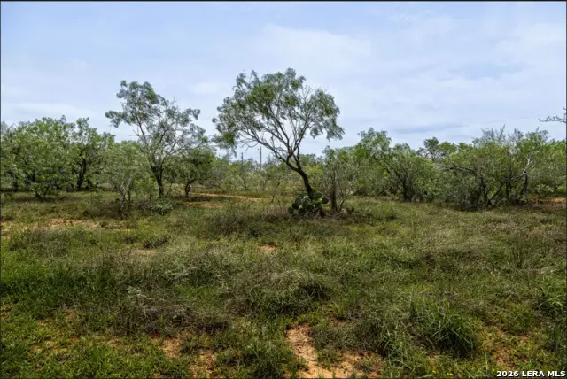 0 County Road 106, Floresville, TX 78114 - #3
