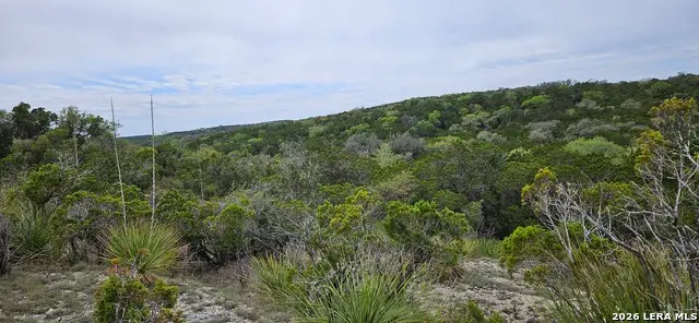 21207 Scenic Loop, Helotes, TX 78023 - #1