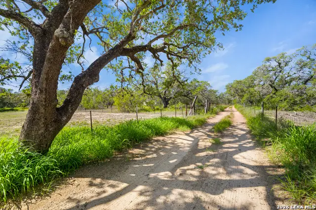 230 Private Road D65, Poteet, TX 78065 - #2