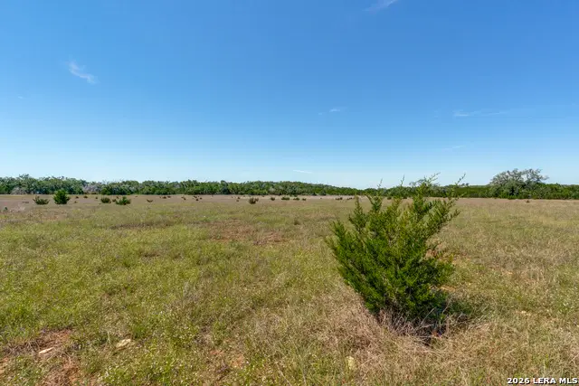 1717 W Fm 473, Spring Branch, TX 78070 - #2