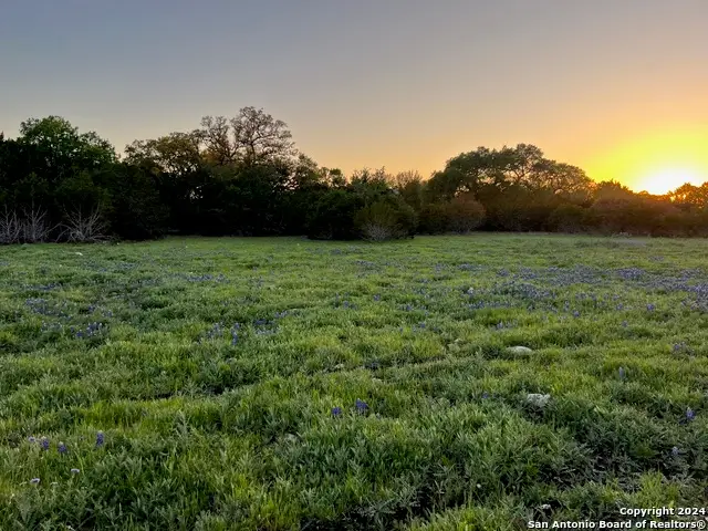 26 Vaquero, Pipe Creek, TX 78063 - #3