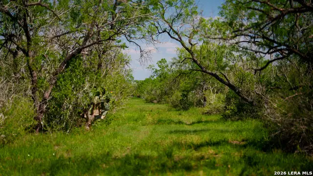 422 F.m. 791, Campbellton, TX 78008 - #3