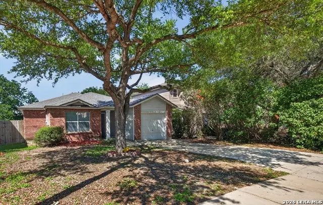 374 Copper Mtn, New Braunfels, TX 78130 - #3