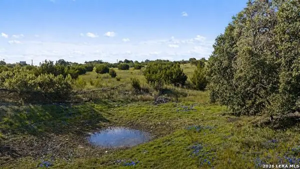 386 Appaloosa Run, Round Mountain, TX 78663