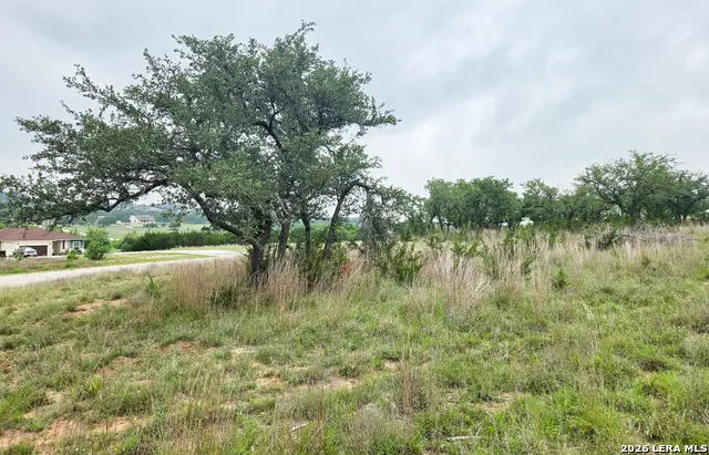 44 Falling Oak, Blanco, TX 78606 - #3