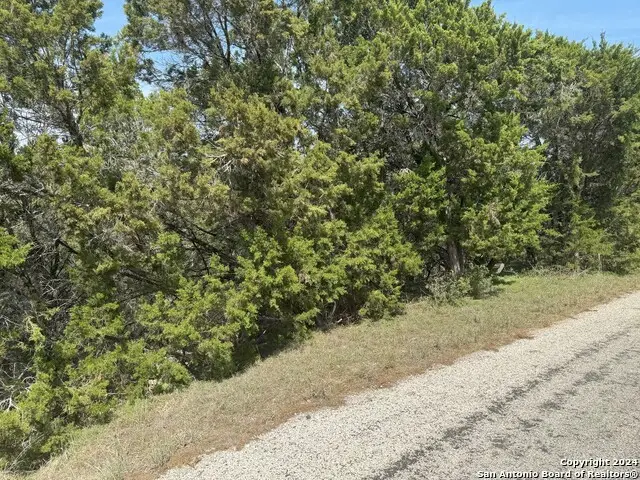 413 Cedar Dr, Canyon Lake, TX 78133 - #1
