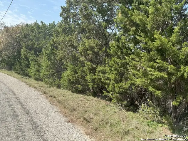 413 Cedar Dr, Canyon Lake, TX 78133 - #3