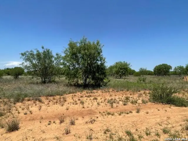 TBD Fm 462 S, Hondo, TX 78861 - #2