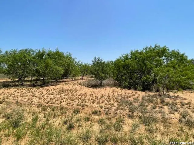 TBD Fm 462 S, Hondo, TX 78861 - #3