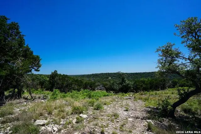 204 Wilson Rand Road, Hunt, TX 78024 - #3