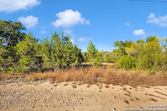 LOT 49 Lake Point, Bandera, TX 78003 - #3
