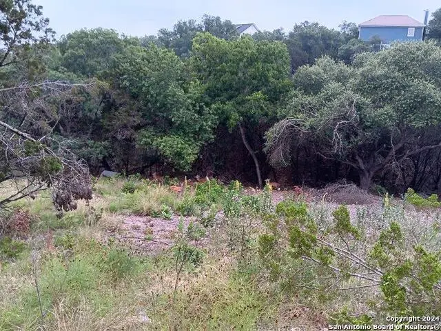 421 Lexington Pass, Canyon Lake, TX 78133 - #2