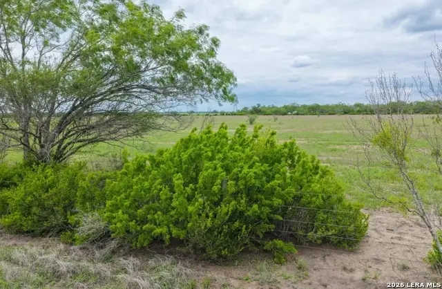000 County Road 332, Beeville, TX 78102 - #3