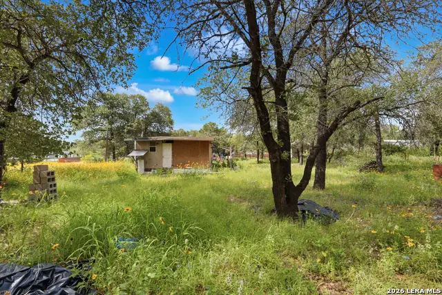 4423 Lost Hills Dr, Elmendorf, TX 78112 - #3