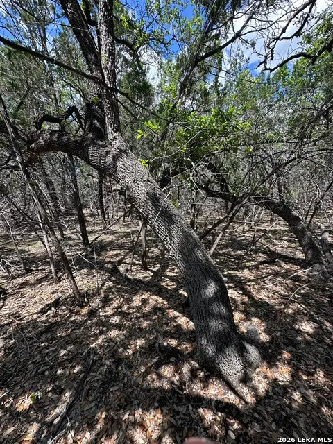 TBD N Oak Lawn Dr, Bandera, TX 78003
