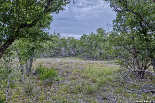 LOT 154 1796 Ranch, Dhanis, TX 78850 - #1