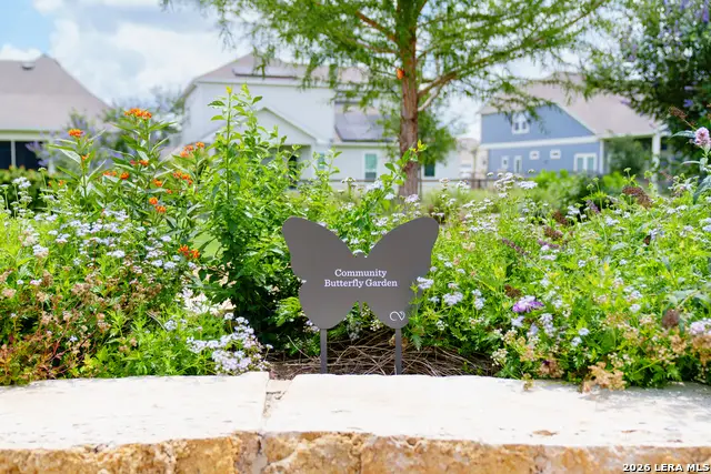12188 Heartvine Parkway, Schertz, TX 78154 - #3