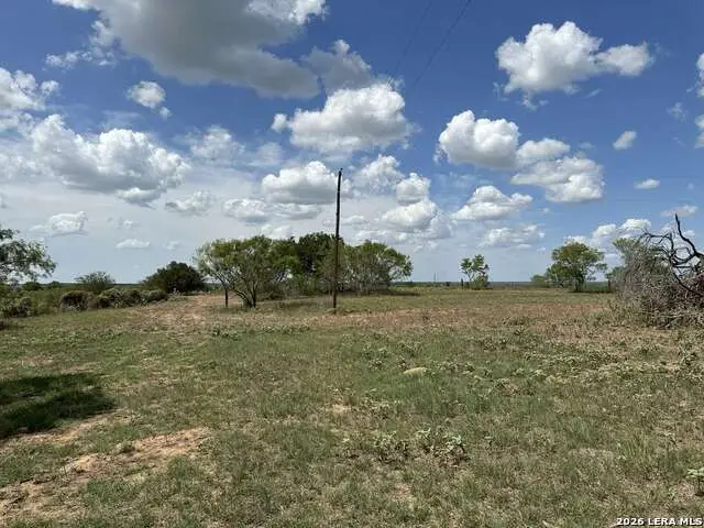 533 County Road 477, Stockdale, TX 78160 - #3