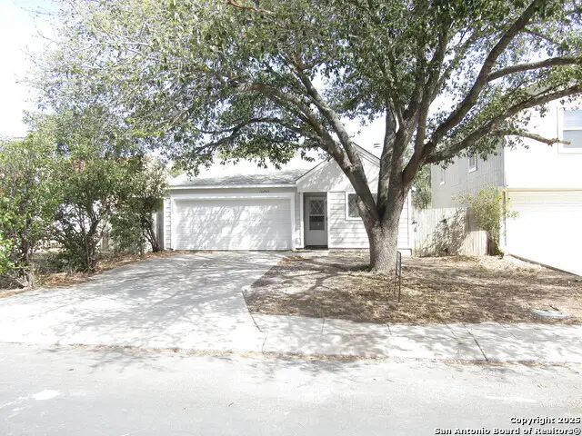 10243 Raven Field, San Antonio, TX 78245 - #2