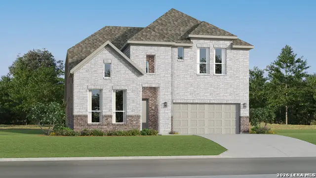 1934 Black Stork, New Braunfels, TX 78130 - #3