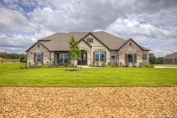 10696 Chestnut Warbler, New Braunfels, TX 78132