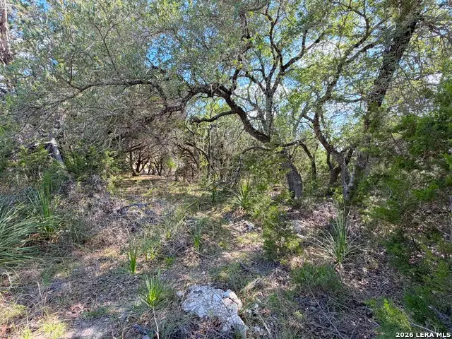 2021 Ronda Ct, Canyon Lake, TX 78133 - #3