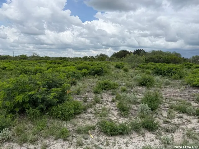 120 Quail Ridge Run, Three Rivers, TX 78071 - #3