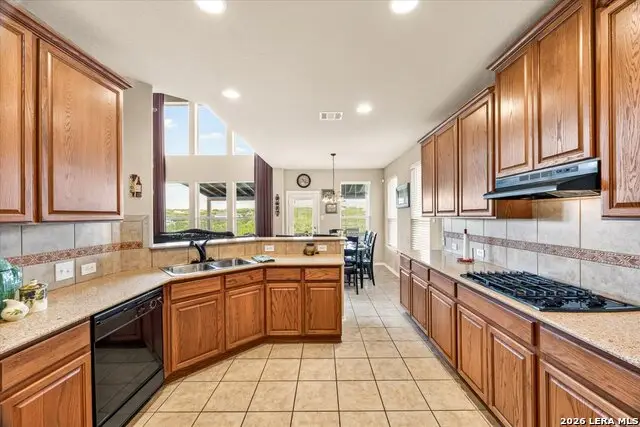 24819 Catalan Clf, San Antonio, TX 78261 - #3