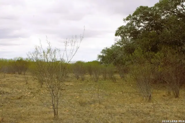 0 Fm 3353, Northeast Guadalupe, TX 78155 - #1