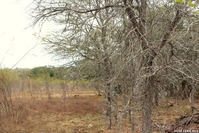 0 Fm 3353, Northeast Guadalupe, TX 78155 - #3