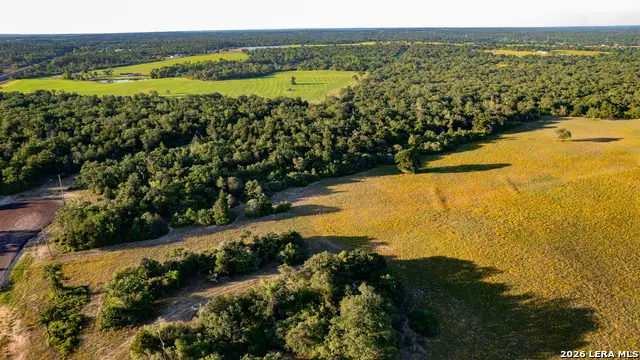 7323 Private Road 4173, Marquez, TX 77865 - #1