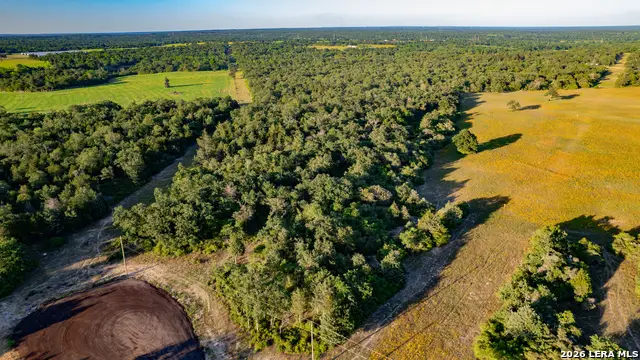 7323 Private Road 4173, Marquez, TX 77865 - #2