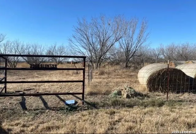 3968 Bluntzer Rd, Jourdanton, TX 78026 - #3