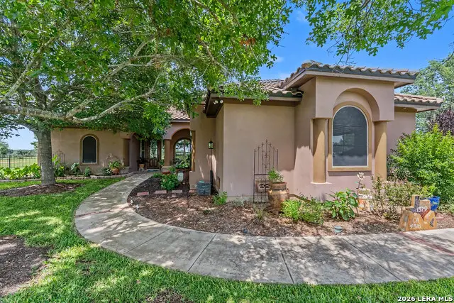 1379 County Road 4516, Castroville, TX 78009 - #3