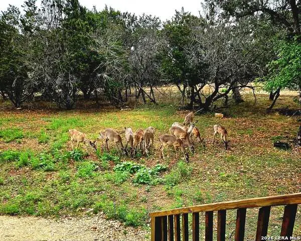 256 Nakomis Dr, Bandera, TX 78003 - #3