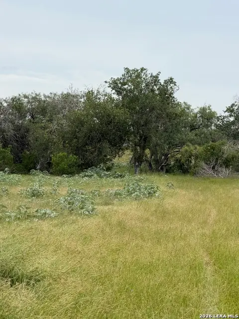 6038 County Road 405, Floresville, TX 78114 - #1