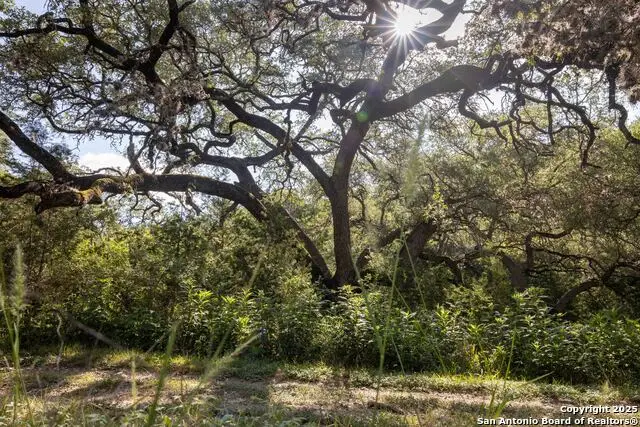7622 Ramble Rdg, San Antonio, TX 78266 - #3